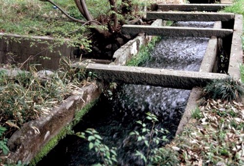 群馬の湧水